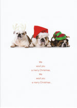 We Woof You a Merry Christmas Holiday Card