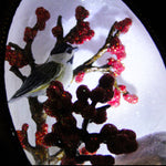 Winter Berries Goose Egg Ornament with LED Light