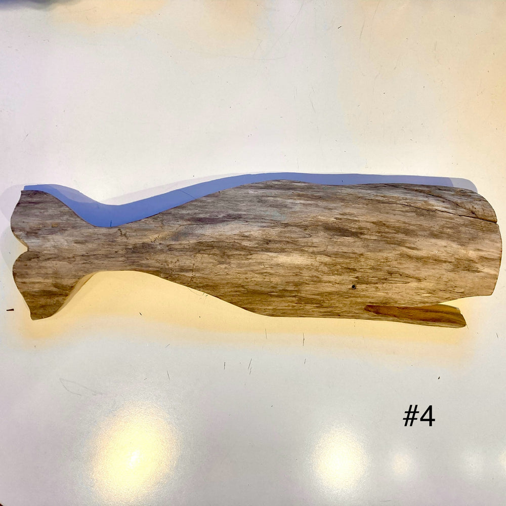 Driftwood Whales