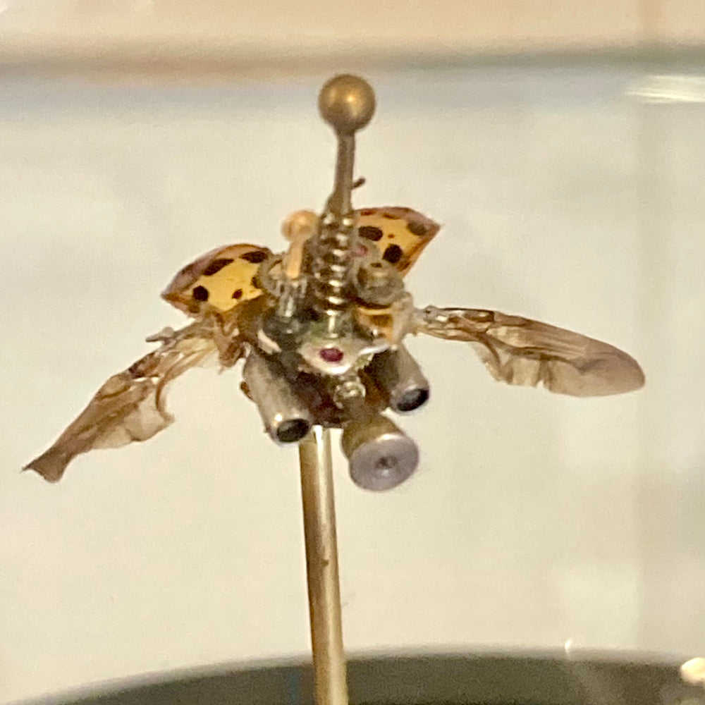 Steampunk Lady Bug