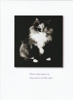 When Cats Leave Us Pet Condolence Card