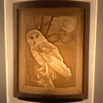 Owl Porcelain Night Light